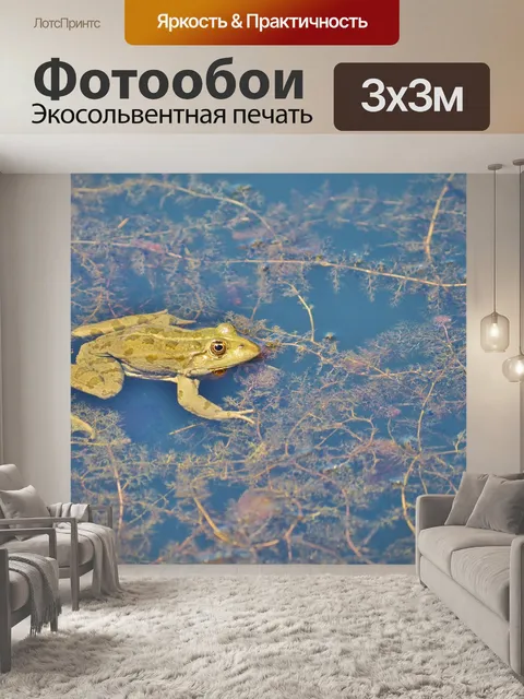 Фотообои Лягушка