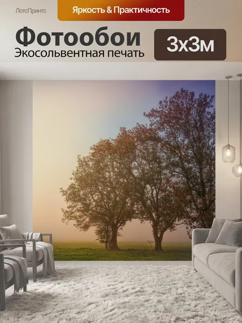 Фотообои Туман
