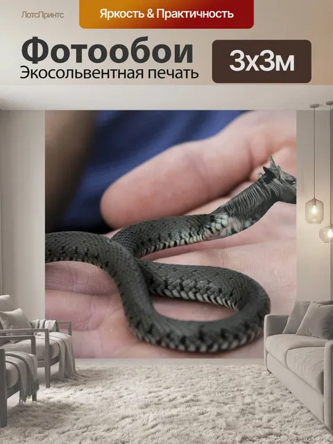 Фотообои Линия