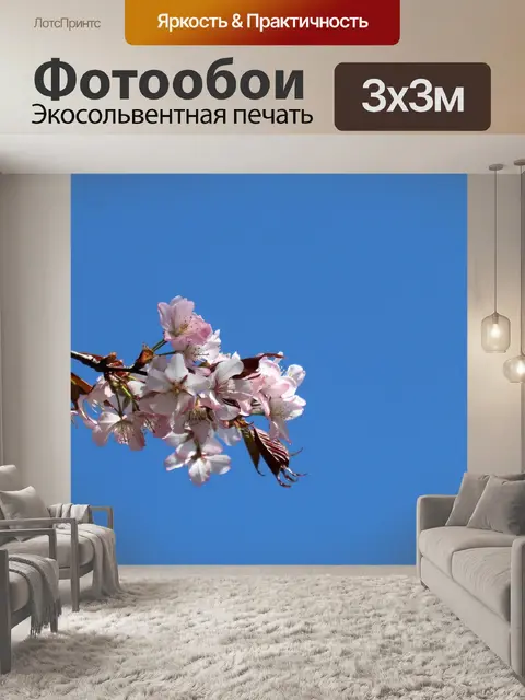 Фотообои Цветы