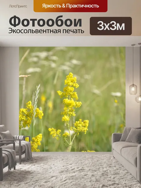 Фотообои Цветы
