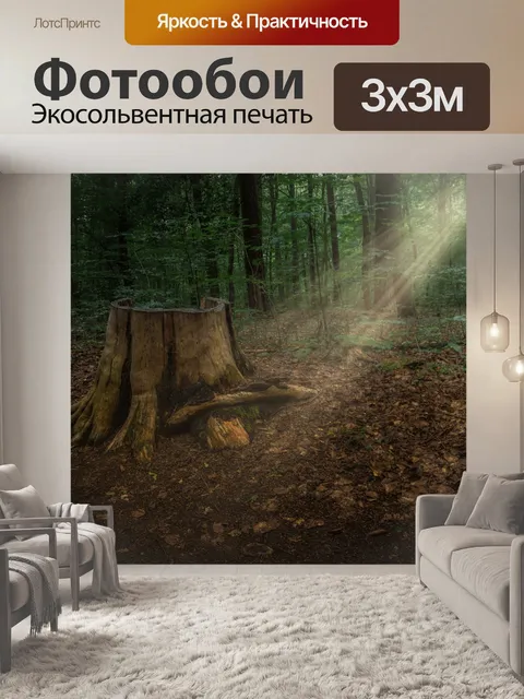 Фотообои Лес