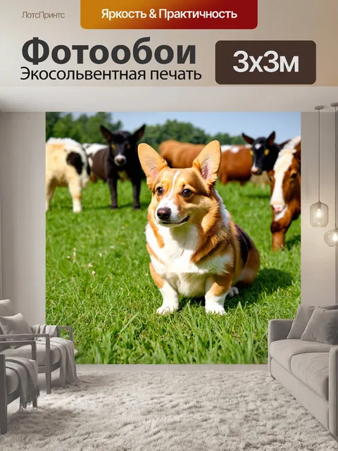 Фотообои корги, проводящий время на ферме, рядом с животными