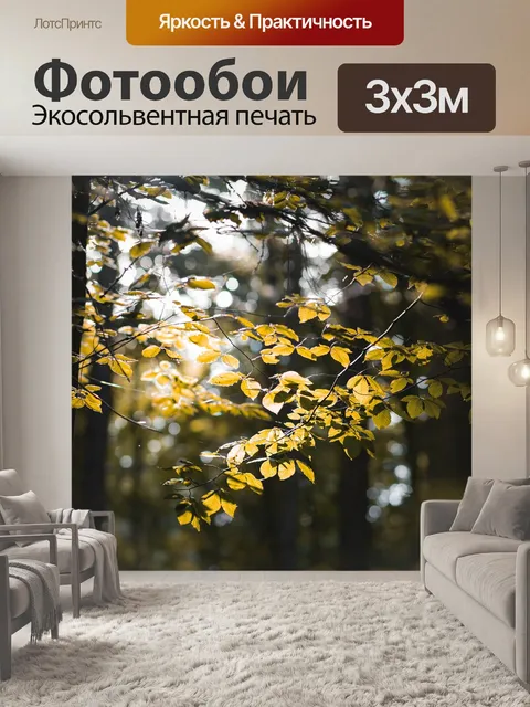 Фотообои Лес