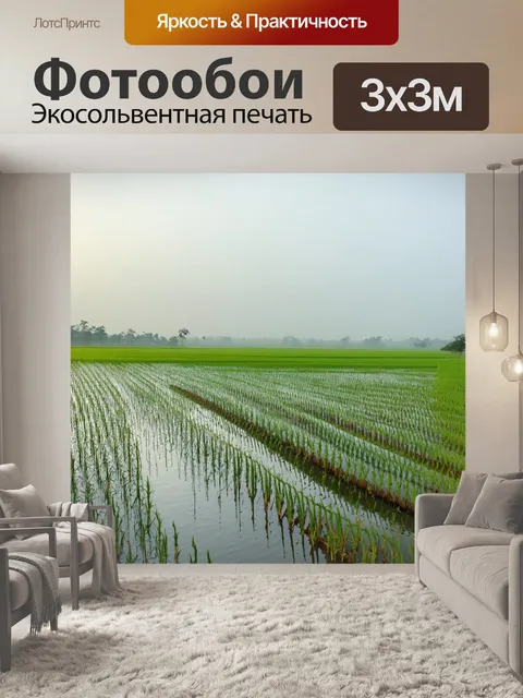 Фотообои туман в стиле флэт, изображающие утренний туман на рисовом поле с отражением в воде