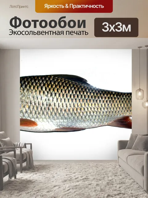 Фотообои Пресноводная рыба фото