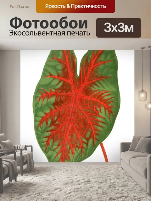 Фотообои Листва лист растение прозрачный