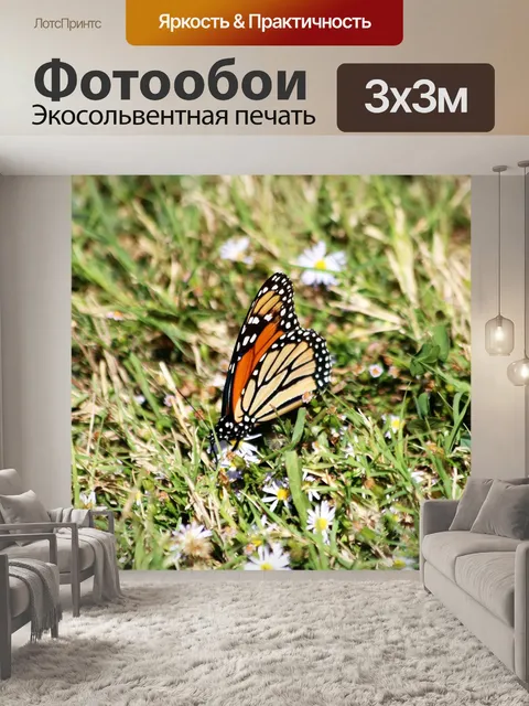 Фотообои Монарх Бабочка в траве