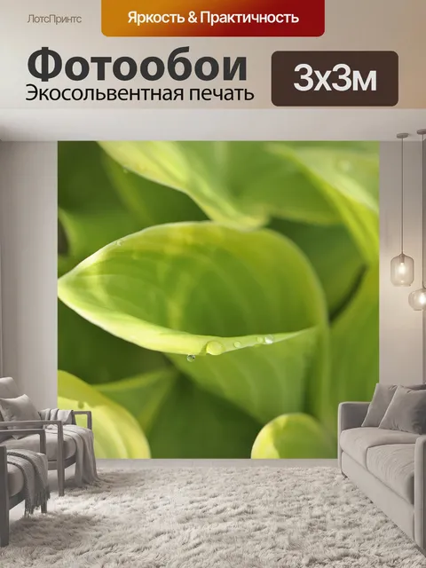 Фотообои Листья