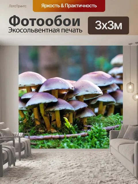Фотообои Лес