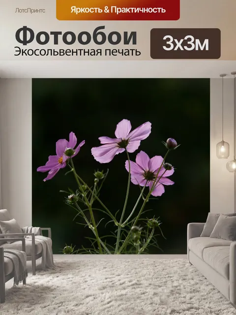 Фотообои Космос