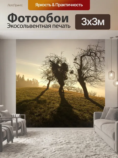 Фотообои Зима