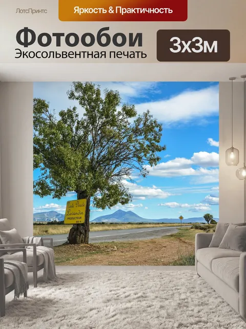 Фотообои Франция