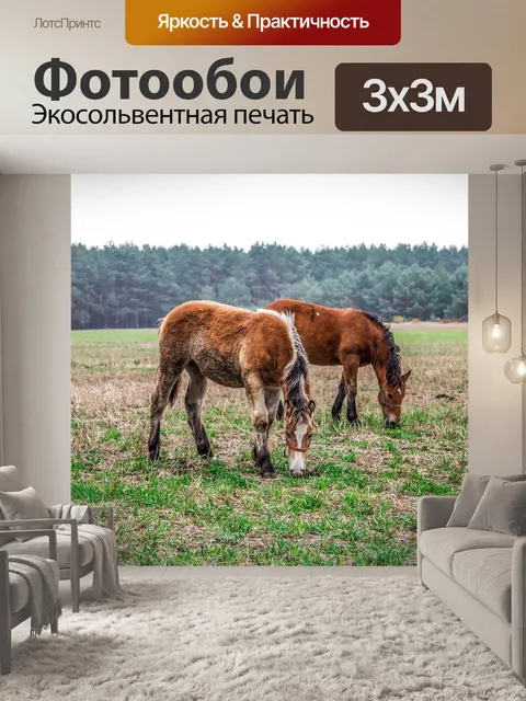 Фотообои Лошадь