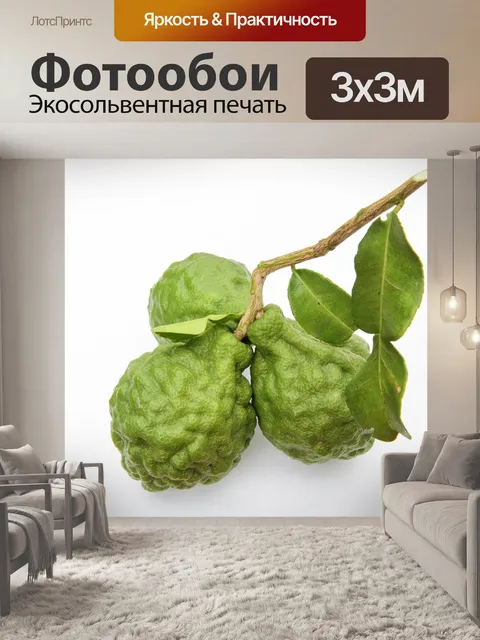 Фотообои Зеленый