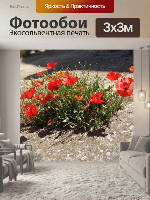 Фотообои Маки