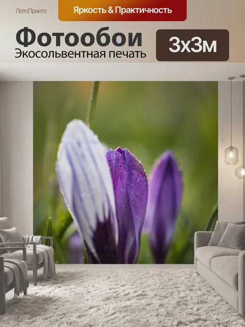 Фотообои Крокусы