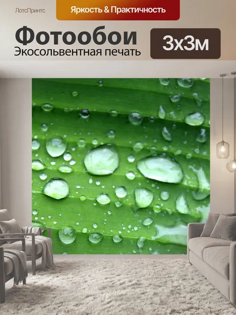 Фотообои Лист банановый