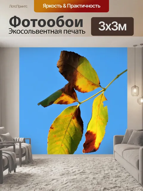 Фотообои Лист