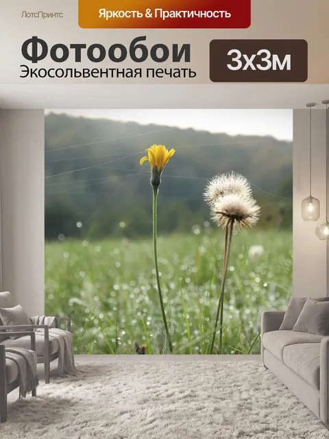 Фотообои Одуванчик
