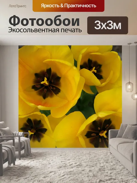 Фотообои Тюльпаны