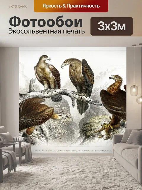 Фотообои Птицы орлы винтаж старый