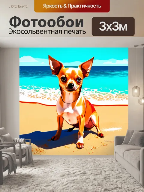 Фотообои чихуахуа в ярком пляжном окружении