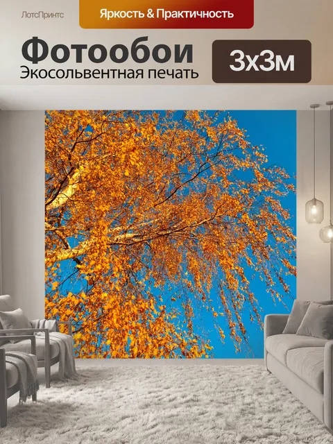 Фотообои Береза осенью