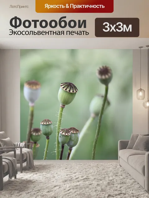 Фотообои Мак