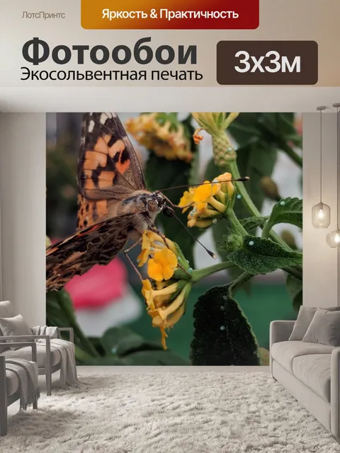 Фотообои Окрашенная леди Бабочка
