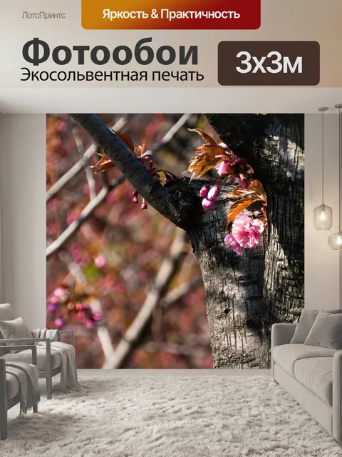 Фотообои Вишня