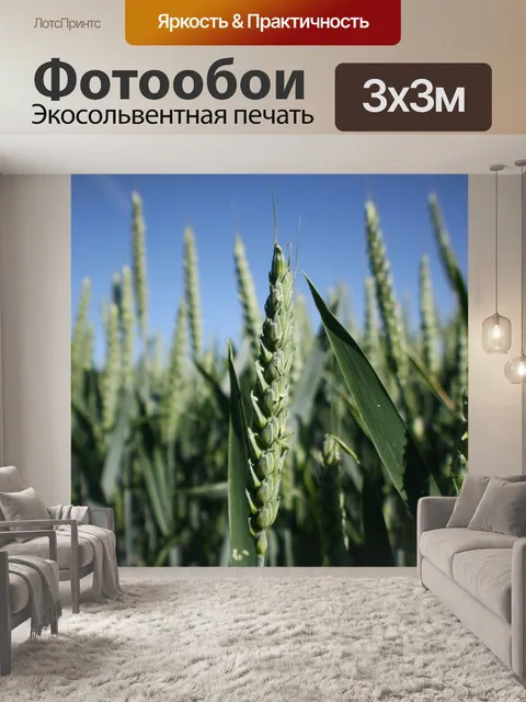 Фотообои Природа