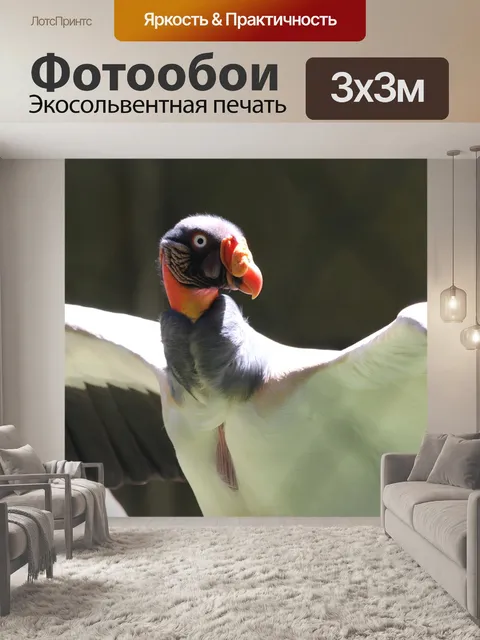 Фотообои Птиц
