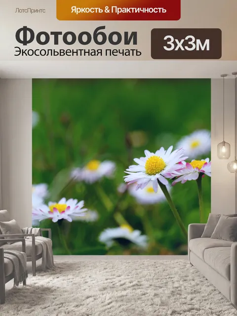 Фотообои Луговые цветы ромашки
