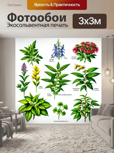 Фотообои живое изображение с медицинскими травами с подробными описаниями их свойств и использования