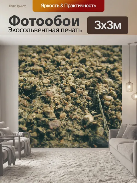Фотообои Земля