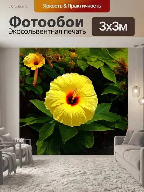 Фотообои в тропическом саду, живописный жёлтый цветок гибискуса, словно солнечный шар, притягивает взгляд
