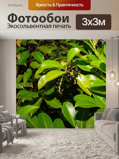 Фотообои Ягода
