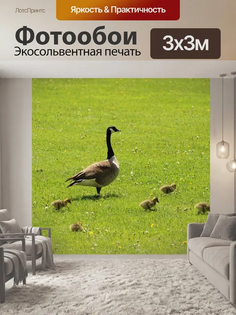 Фотообои Гусь