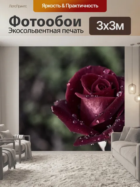 Фотообои Роза