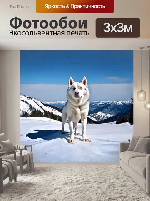 Фотообои ездовая собака, белый хаски, стоящий на вершине заснеженной горы, с потрясенной шерстью и гордым взглядом