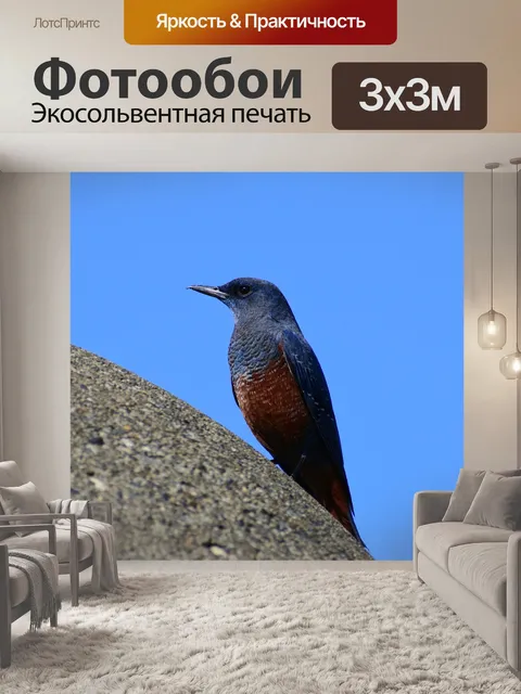 Фотообои Животное