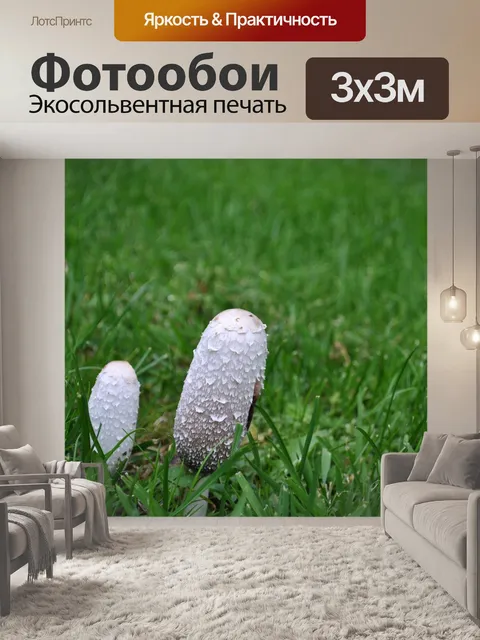 Фотообои Гриб