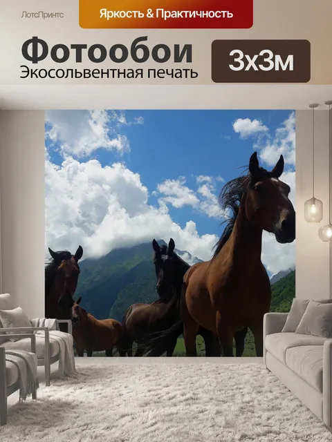 Фотообои Лошадь