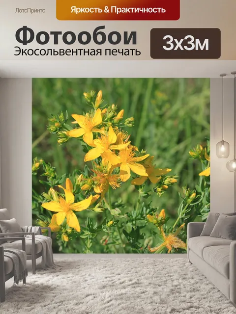 Фотообои Цветы