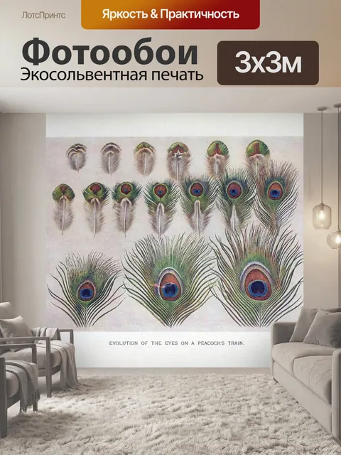 Фотообои Павлиньи перья винтаж старый