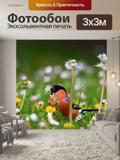 Фотообои Снегирь