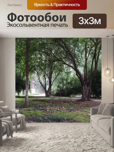 Фотообои Деревья