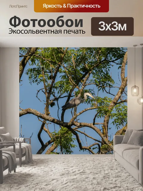 Фотообои Цапля