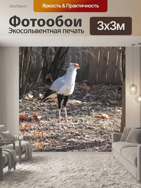 Фотообои Птица-секретарь
